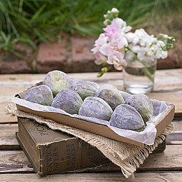 《模拟农场儿童版》明年春节面向Switch和手机发售